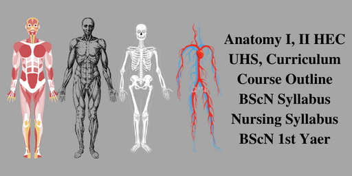 Anatomy I II HEC-UHS Curriculum