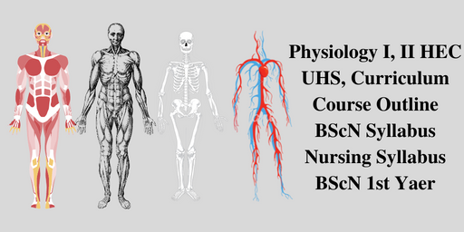 Physiology I II HEC