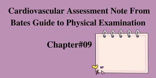 Cardiovascular Assessment Note