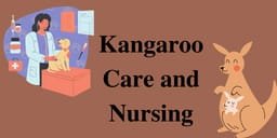 Kangaroo Care and Nursing