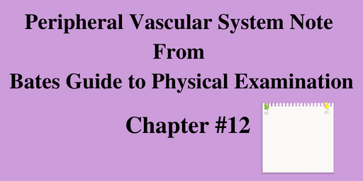 Peripheral Vascular System Note