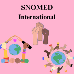 SNOMED and Its Use in Nursing