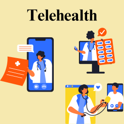 Telehealth for Terminally Ill Patient