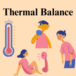 Temperature Balance and Regulation In Health