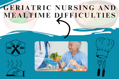 Geriatric Nursing and Mealtime Difficulties