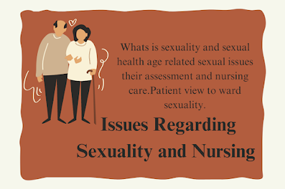 Issues Regarding Sexuality and Nursing