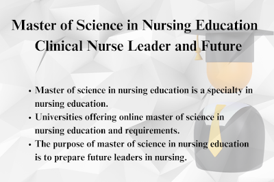 Clinical Nurse Leader and Future