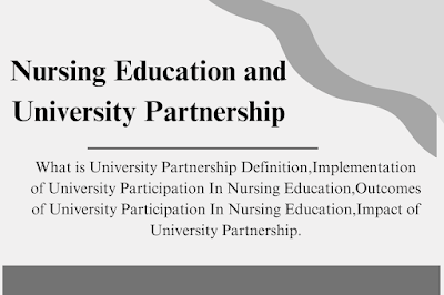 Nursing Education and University Partnership