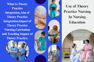 Use of Theory Practice Nursing