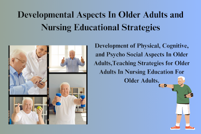 Developmental Aspects In Older Adults and Nursing Educational Strategies