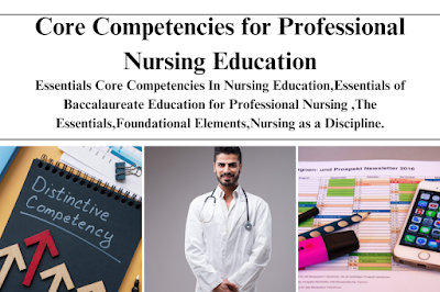 Core Competencies for Professional Nursing