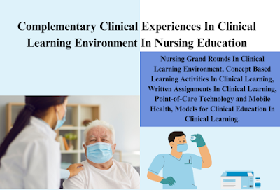 Complementary Clinical Experiences In Clinical Learning Environment In Nursing Education