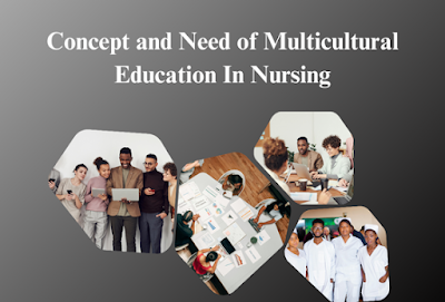 Multicultural Education In Nursing