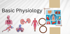 Books Gallery Basic Physiology