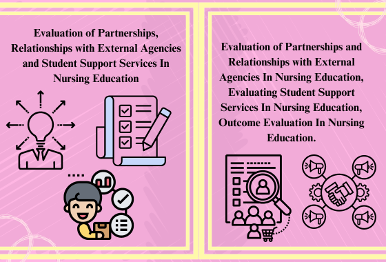 Evaluation of Partnerships, Relationships with External Agencies and Student Support Services In Nursing Education