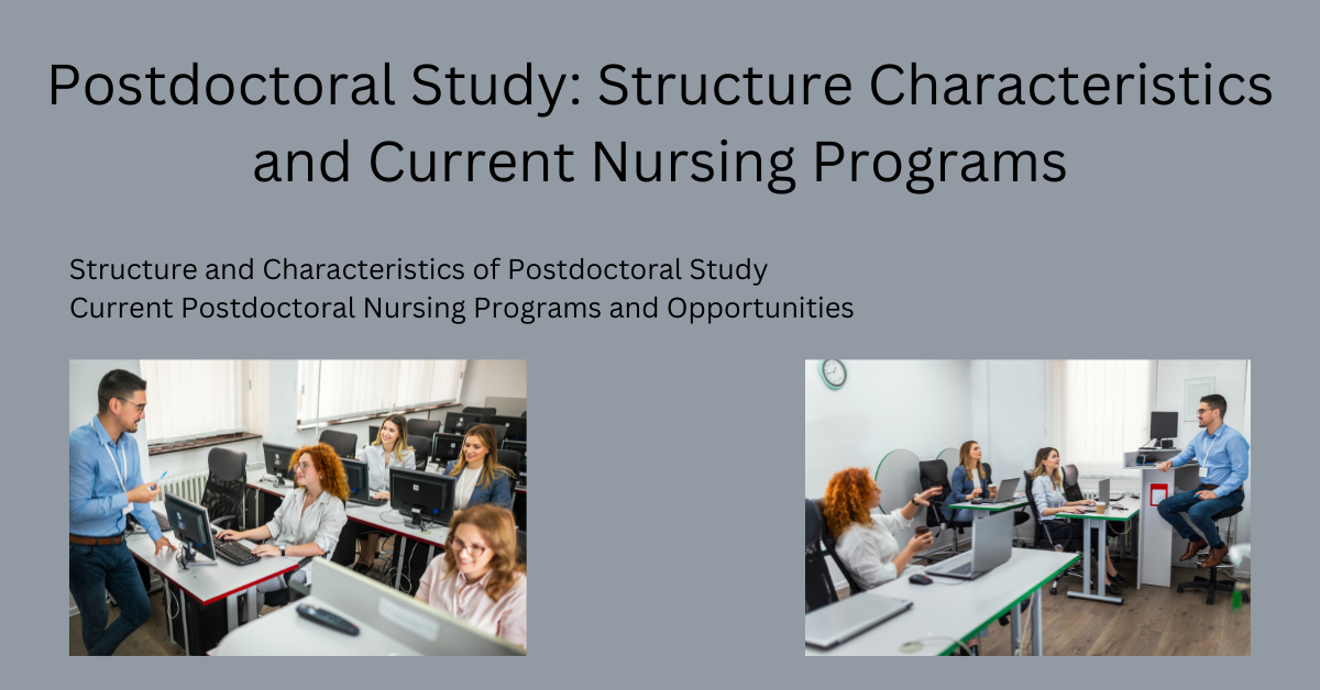 Postdoctoral Study: Structure Characteristics and Current Nursing Programs