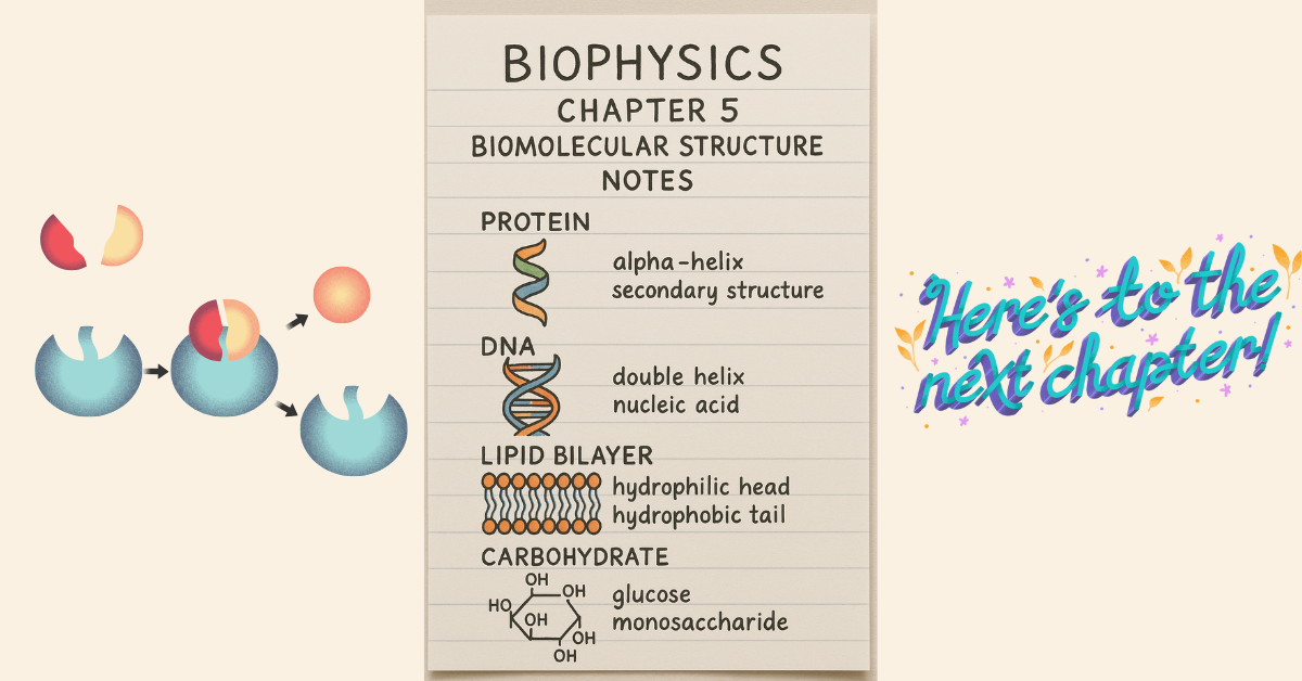 Biophysics Chapter 5 Biomolecular Structure Notes